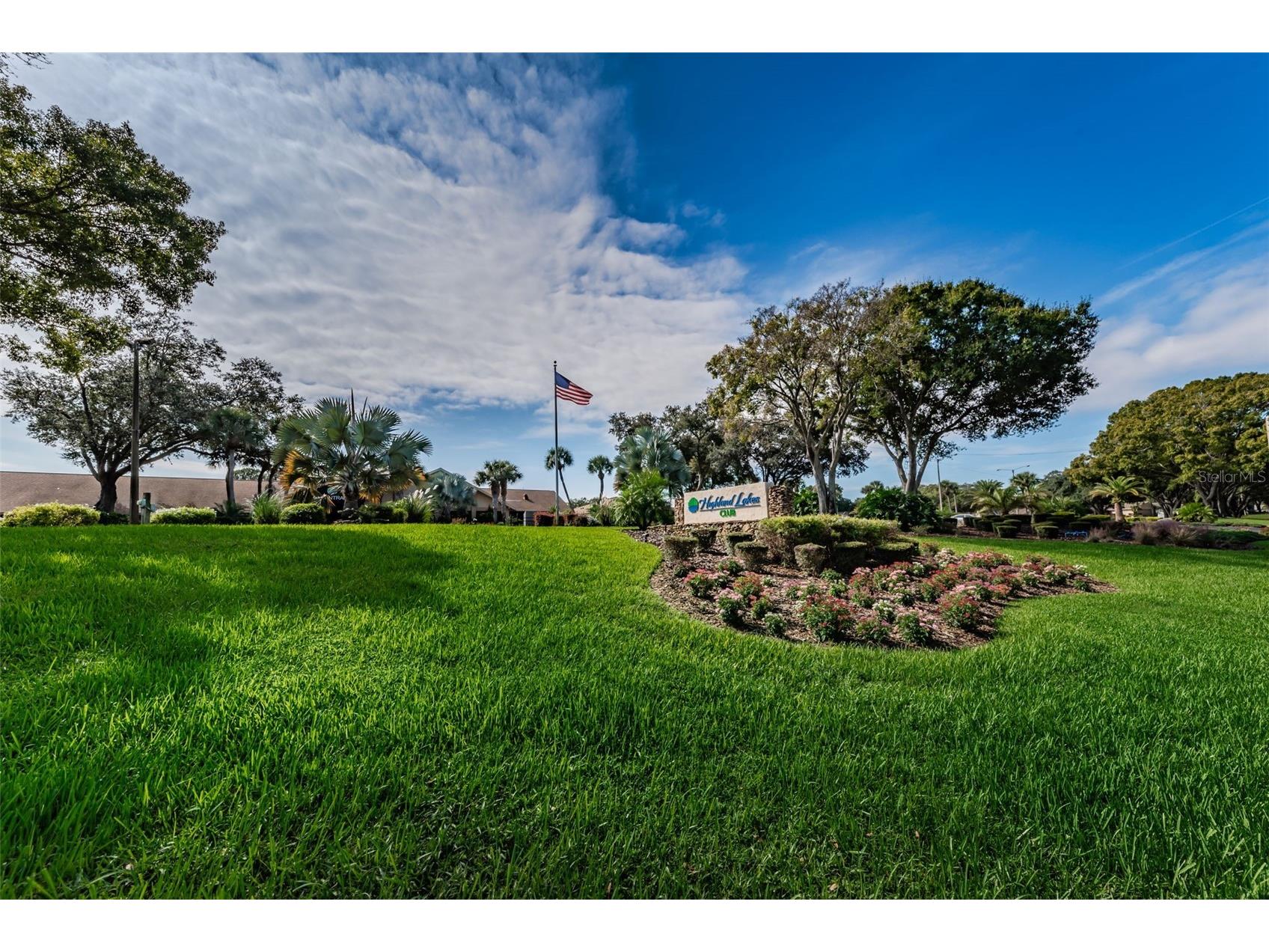 3097 Mission Grove Drive Palm Harbor FL 34684 TB8525428 image83