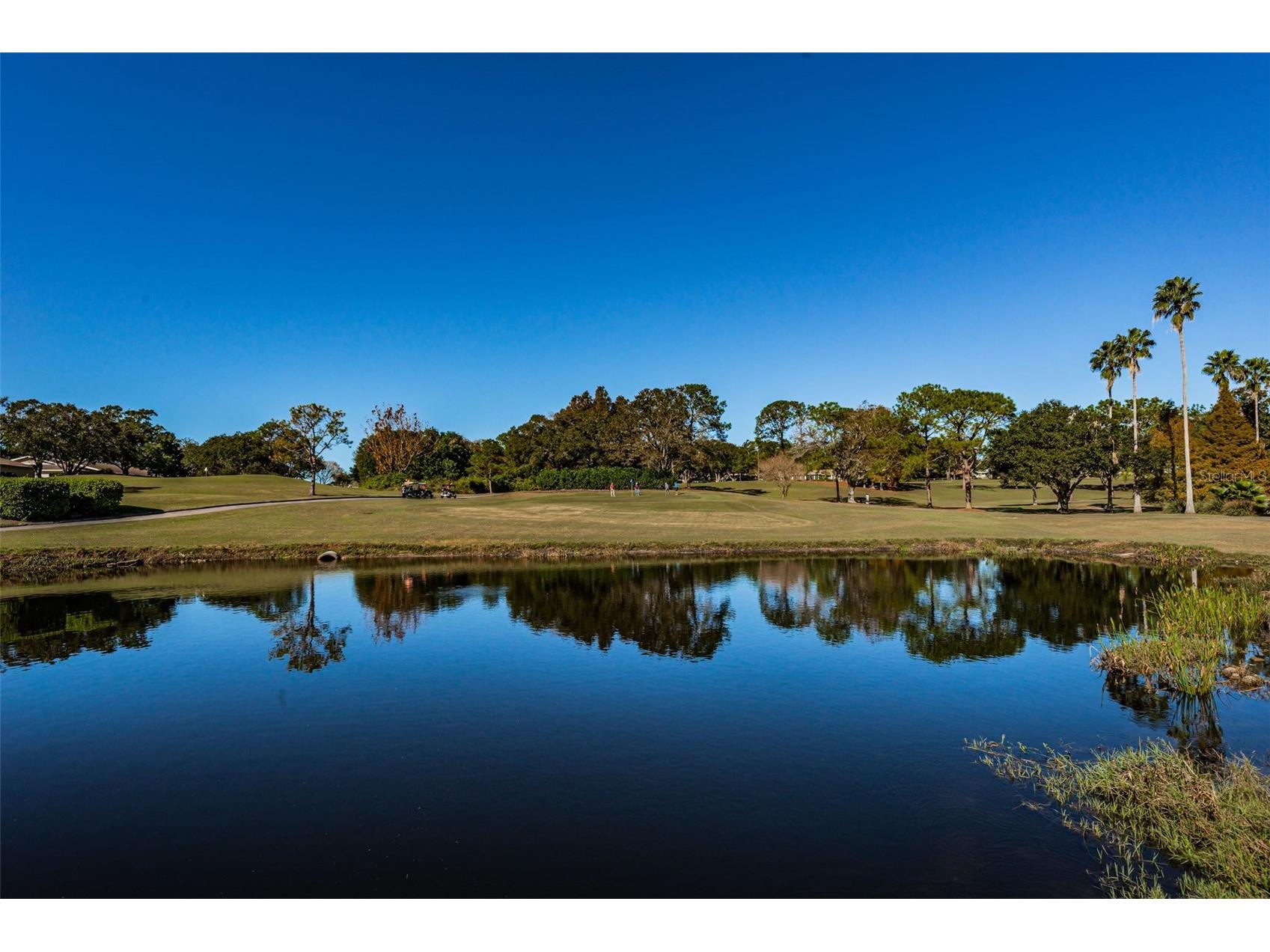 3097 Mission Grove Drive Palm Harbor FL 34684 TB8525428 image84
