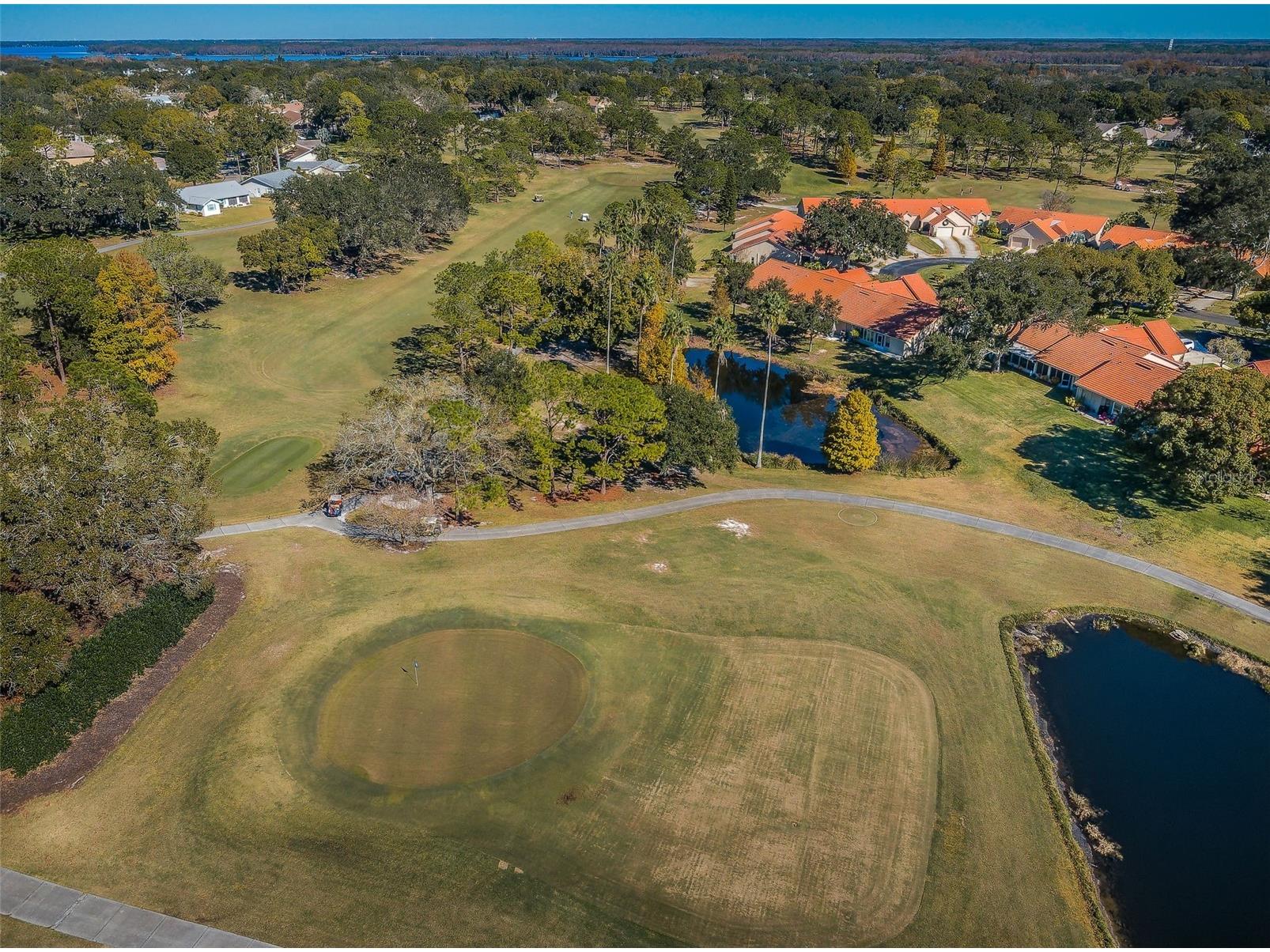 3097 Mission Grove Drive Palm Harbor FL 34684 TB8525428 image85