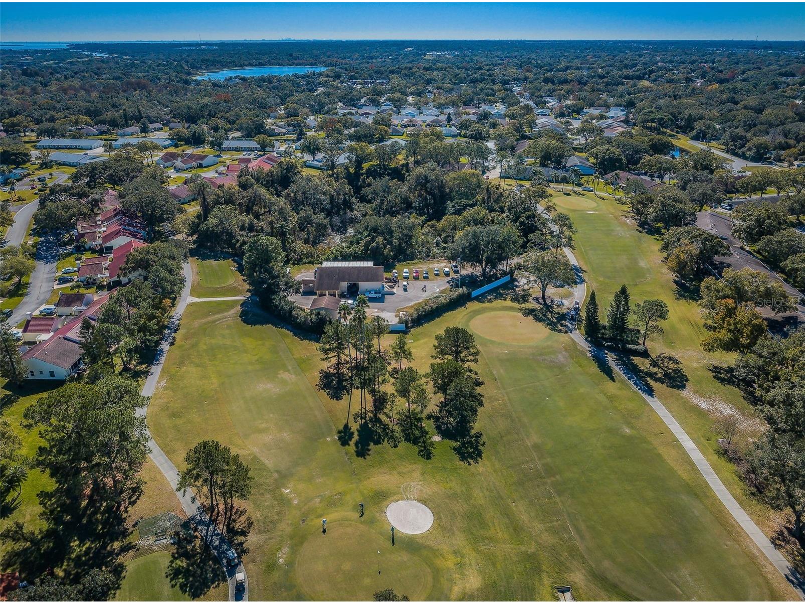 3097 Mission Grove Drive Palm Harbor FL 34684 TB8525428 image87