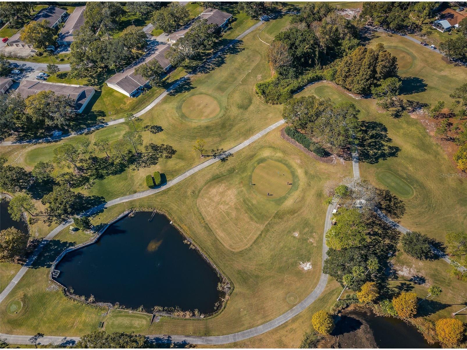 3097 Mission Grove Drive Palm Harbor FL 34684 TB8525428 image89