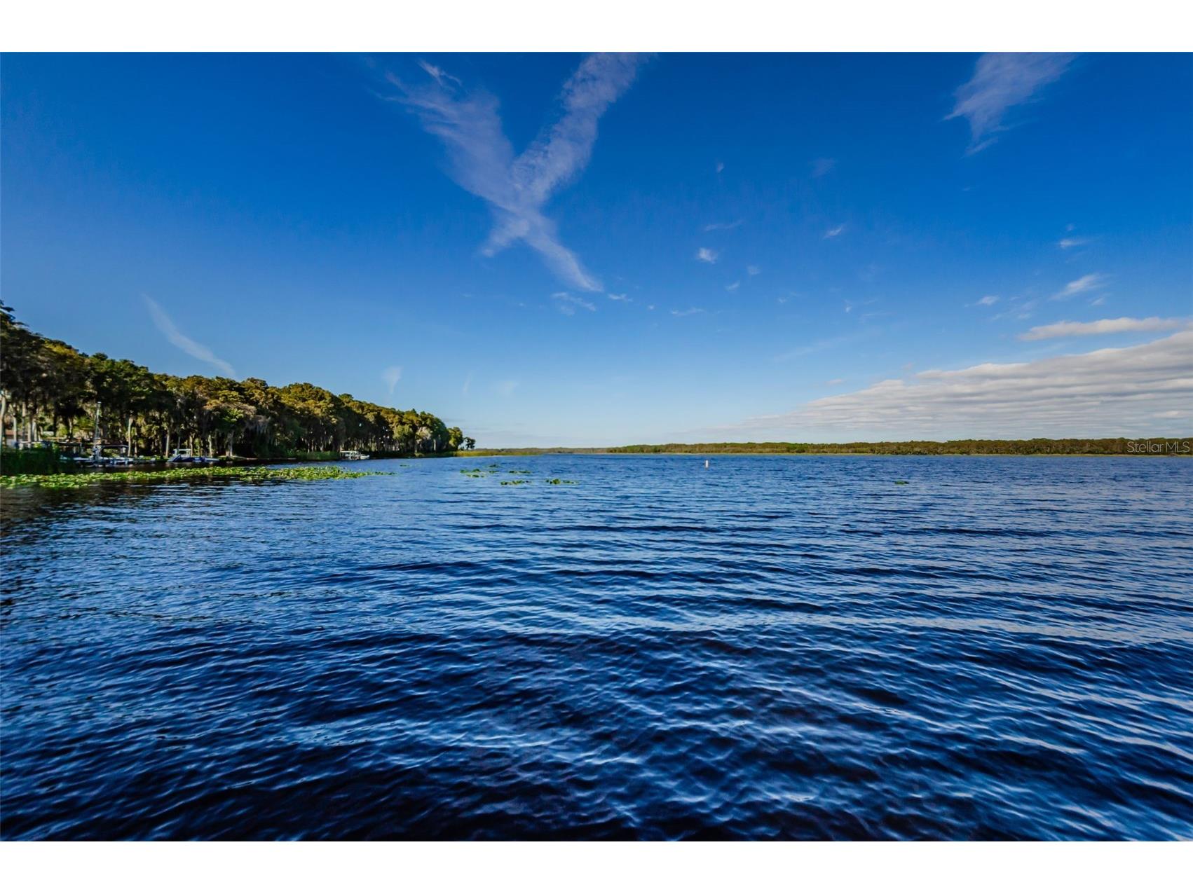 3097 Mission Grove Drive Palm Harbor FL 34684 TB8525428 image97