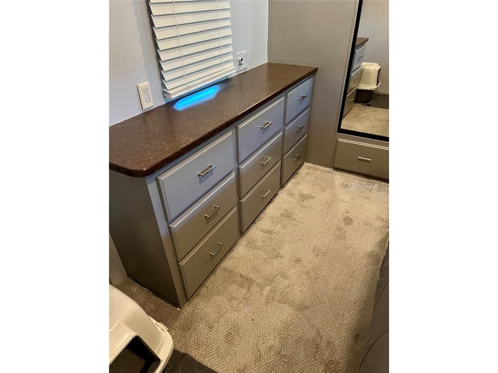 3097 NE 102nd Avenue Road Silver Springs FL 34488 - OCKLAWAHA OM689766 image15