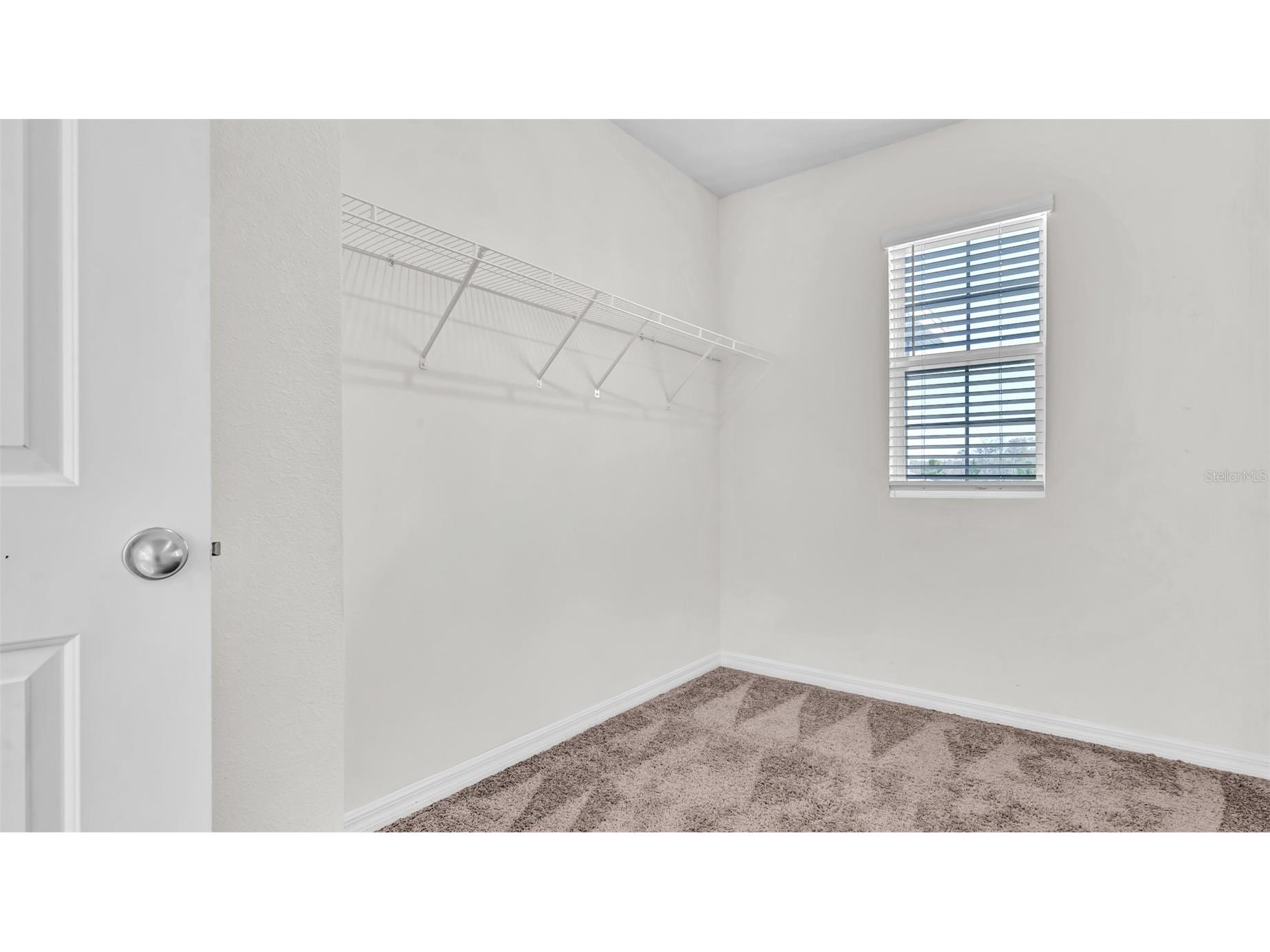 3097 Suncoast Plains Drive Odessa FL 33556 TB8527372 image21