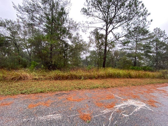 3097 W Kirkwood Place Citrus Springs FL 34433 T3413957 image1