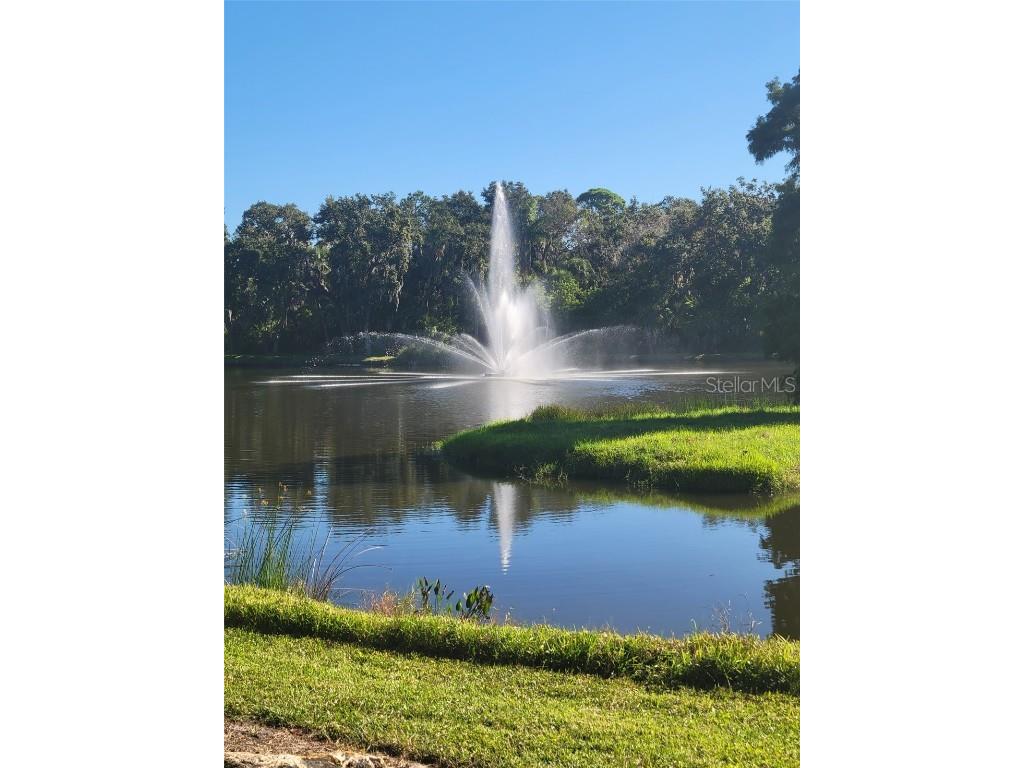 3097 Willow Green #32 Sarasota FL 34235 A4671572 image32