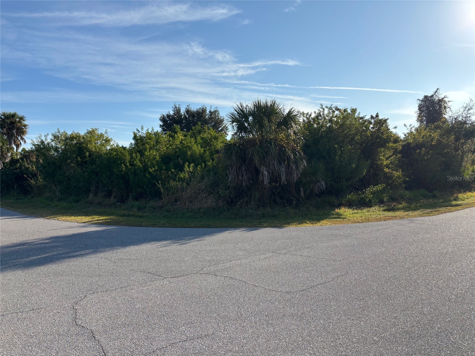 3098 & 3090 Holcomb Road Port Charlotte FL 33981 - MYAKKA RIVER C7520861 image5
