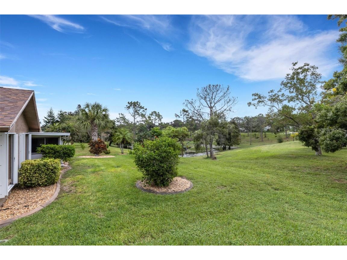3098 E Dorchester Drive Palm Harbor FL 34684 - LAKE TARPON TB8433251 image4