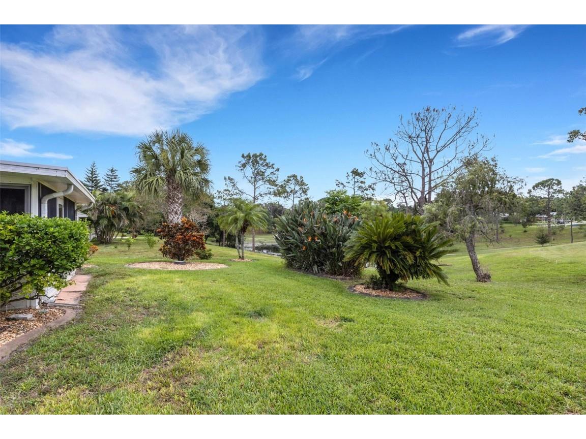 3098 E Dorchester Drive Palm Harbor FL 34684 - LAKE TARPON TB8433251 image58