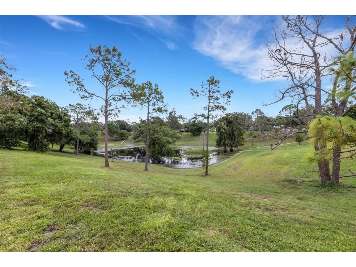 3098 E Dorchester Drive Palm Harbor FL 34684 - LAKE TARPON TB8433251 image59