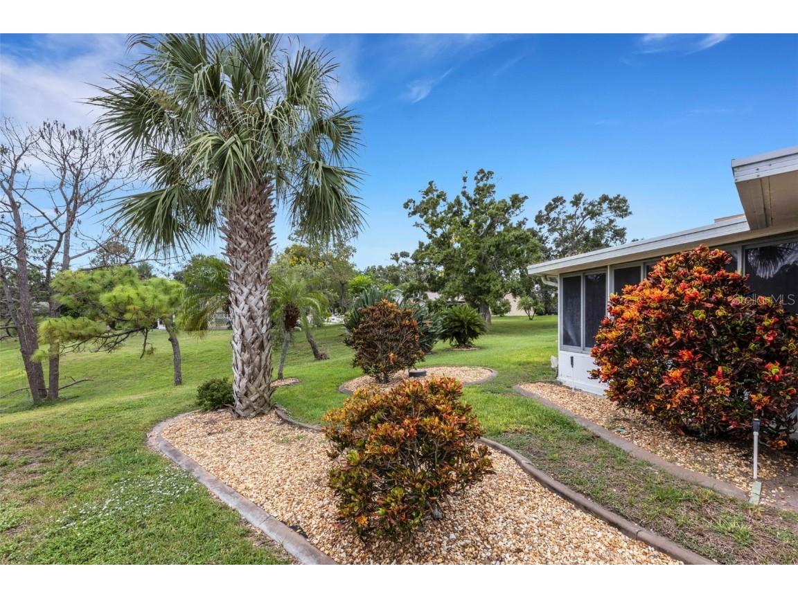 3098 E Dorchester Drive Palm Harbor FL 34684 - LAKE TARPON TB8433251 image61