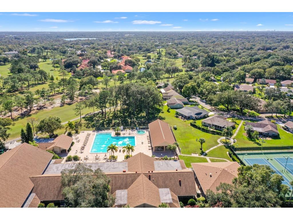 3098 E Dorchester Drive Palm Harbor FL 34684 - LAKE TARPON TB8433251 image69