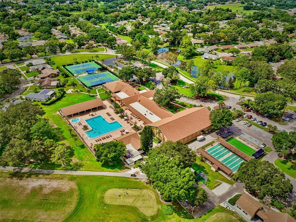 3098 E Dorchester Drive Palm Harbor FL 34684 - LAKE TARPON TB8433251 image70