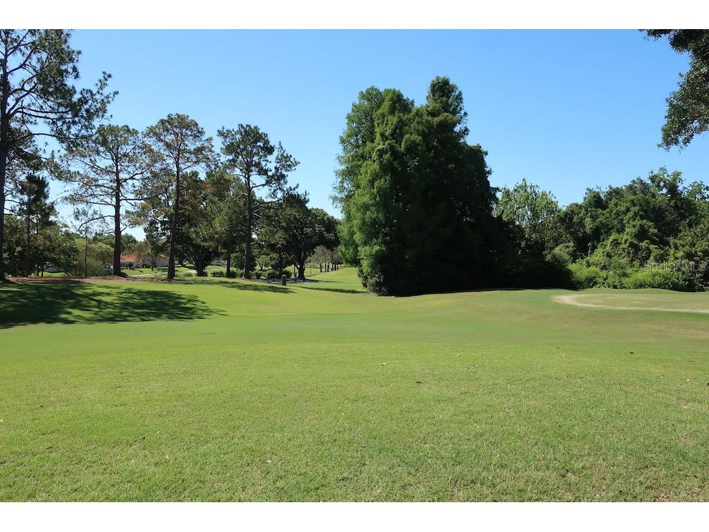 3098 E Dorchester Drive Palm Harbor FL 34684 - LAKE TARPON TB8433251 image75