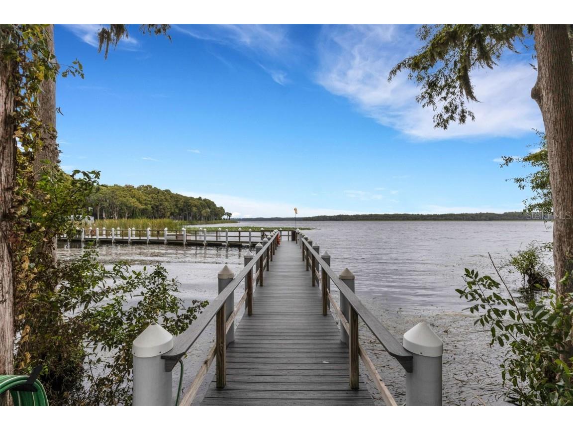 3098 E Dorchester Drive Palm Harbor FL 34684 - LAKE TARPON TB8433251 image80