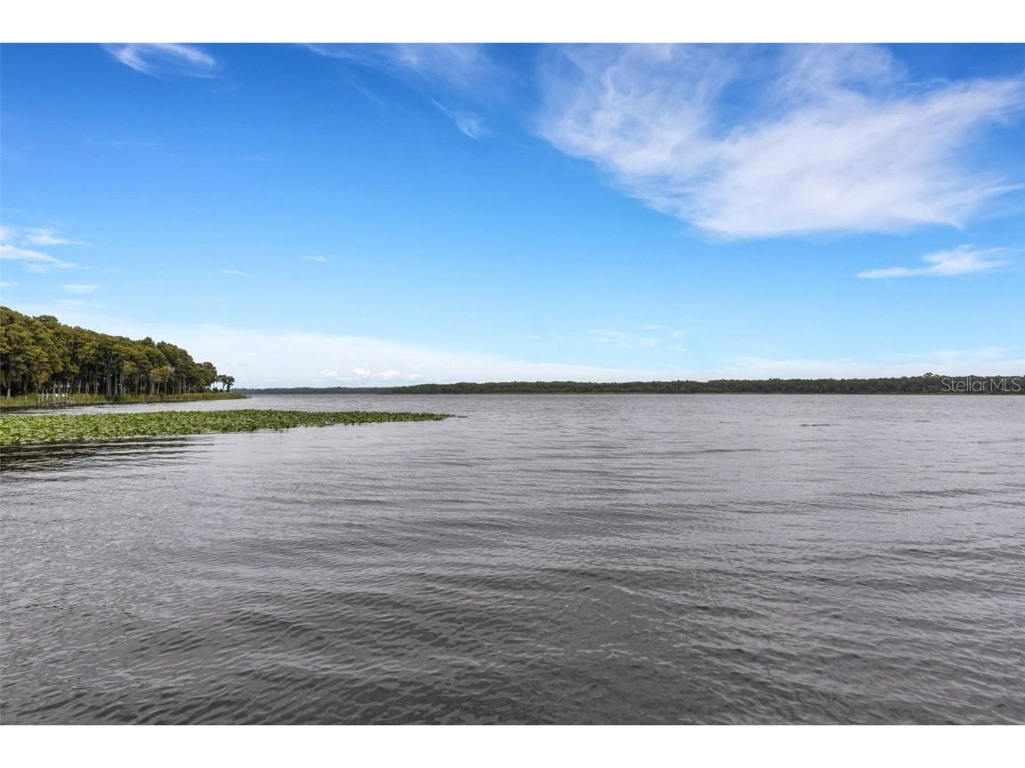 3098 E Dorchester Drive Palm Harbor FL 34684 - LAKE TARPON TB8433251 image81