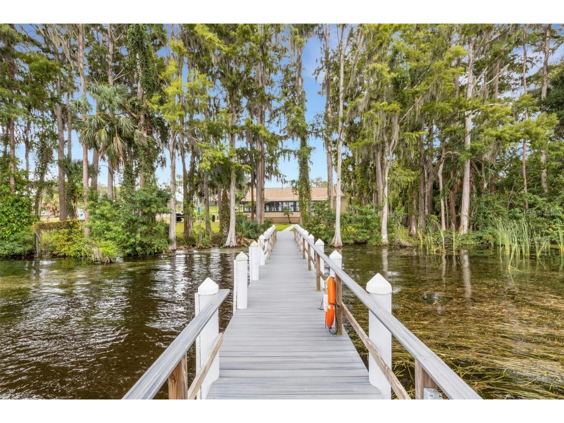 3098 E Dorchester Drive Palm Harbor FL 34684 - LAKE TARPON TB8433251 image82
