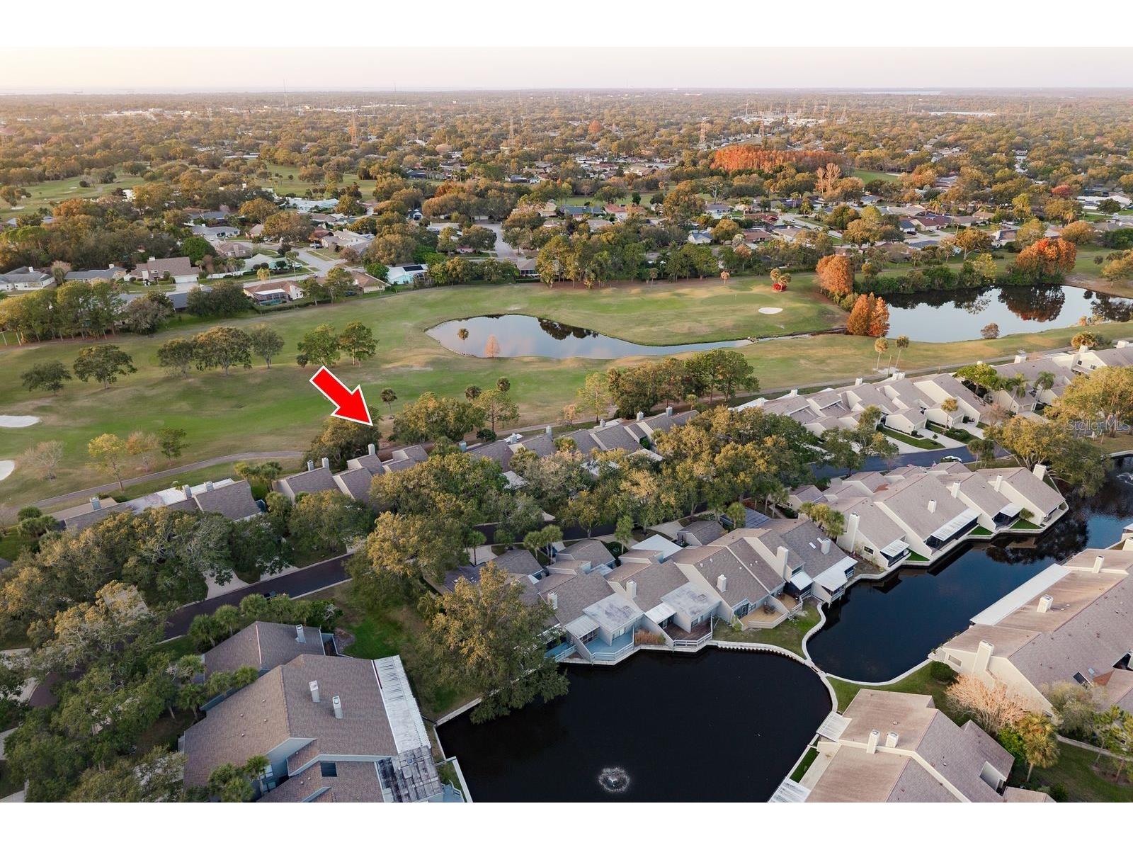 3098 Eagles Landing Circle W Clearwater FL 33761 TB8458249 image2