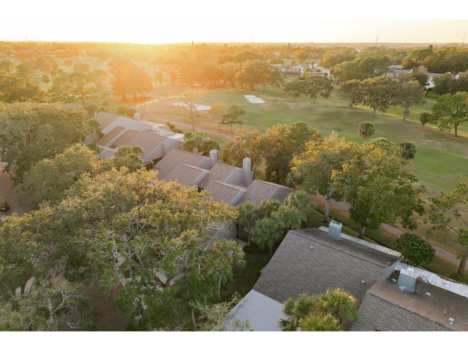 3098 Eagles Landing Circle W Clearwater FL 33761 TB8458249 image49