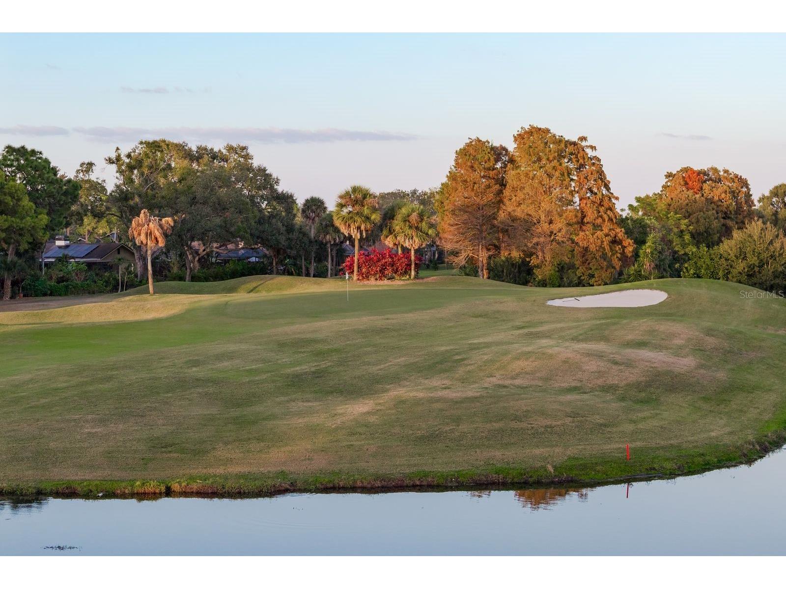 3098 Eagles Landing Circle W Clearwater FL 33761 TB8458249 image57