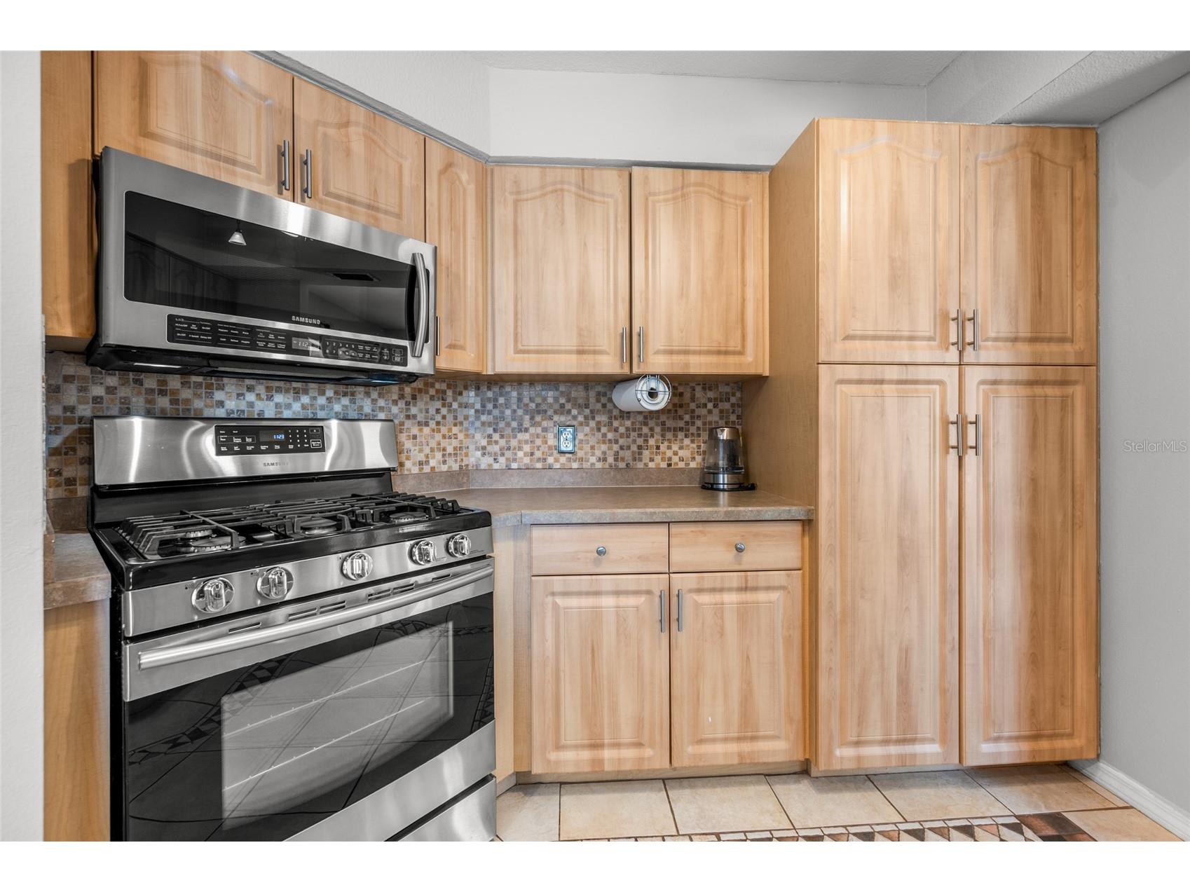 3098 Mauck Terrace Port Charlotte FL 33981 - MYAKKA RIVER D6147361 image14