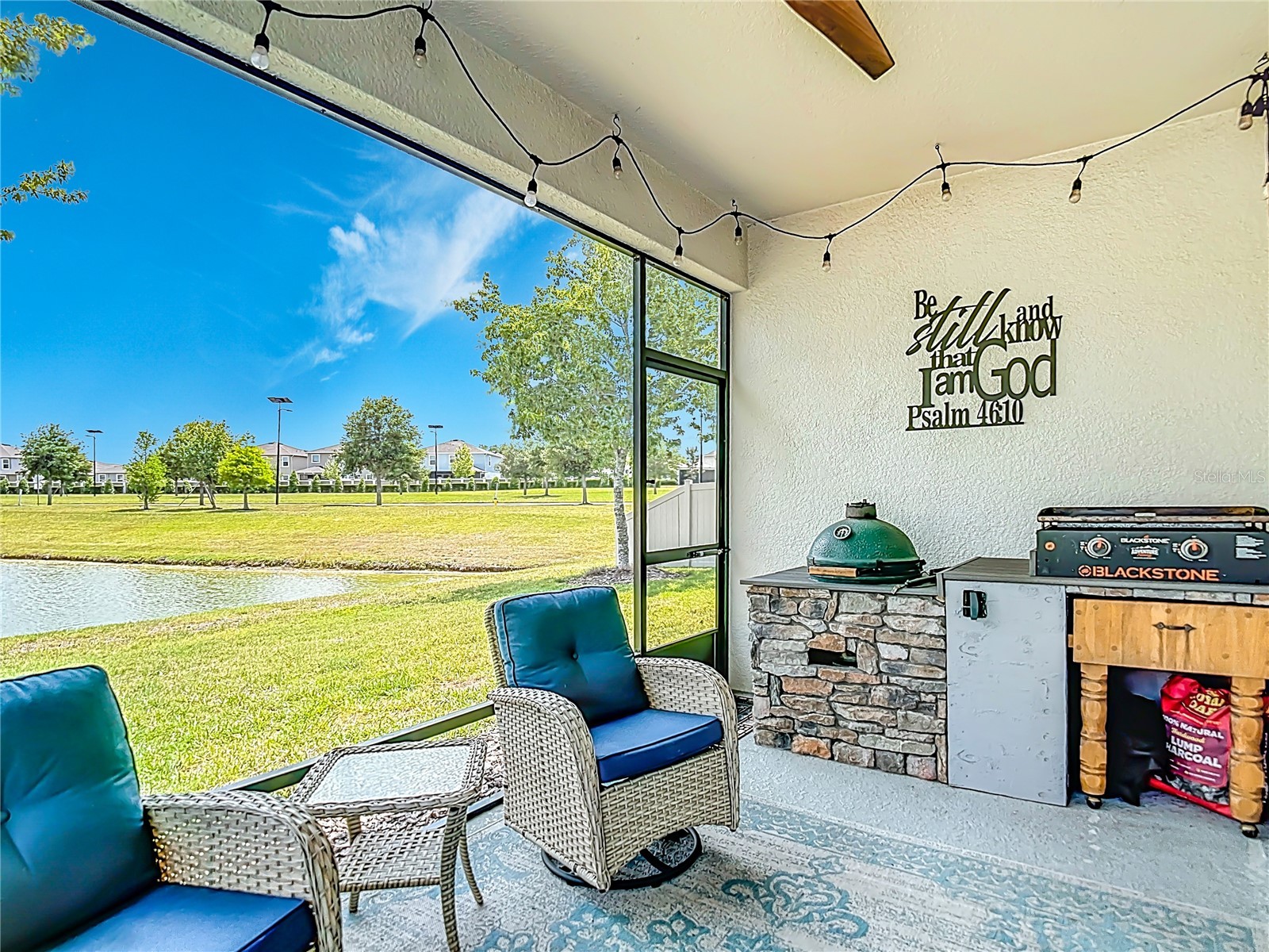 30980 Jazz Leaf Place San Antonio FL 33576 TB8499780 image39