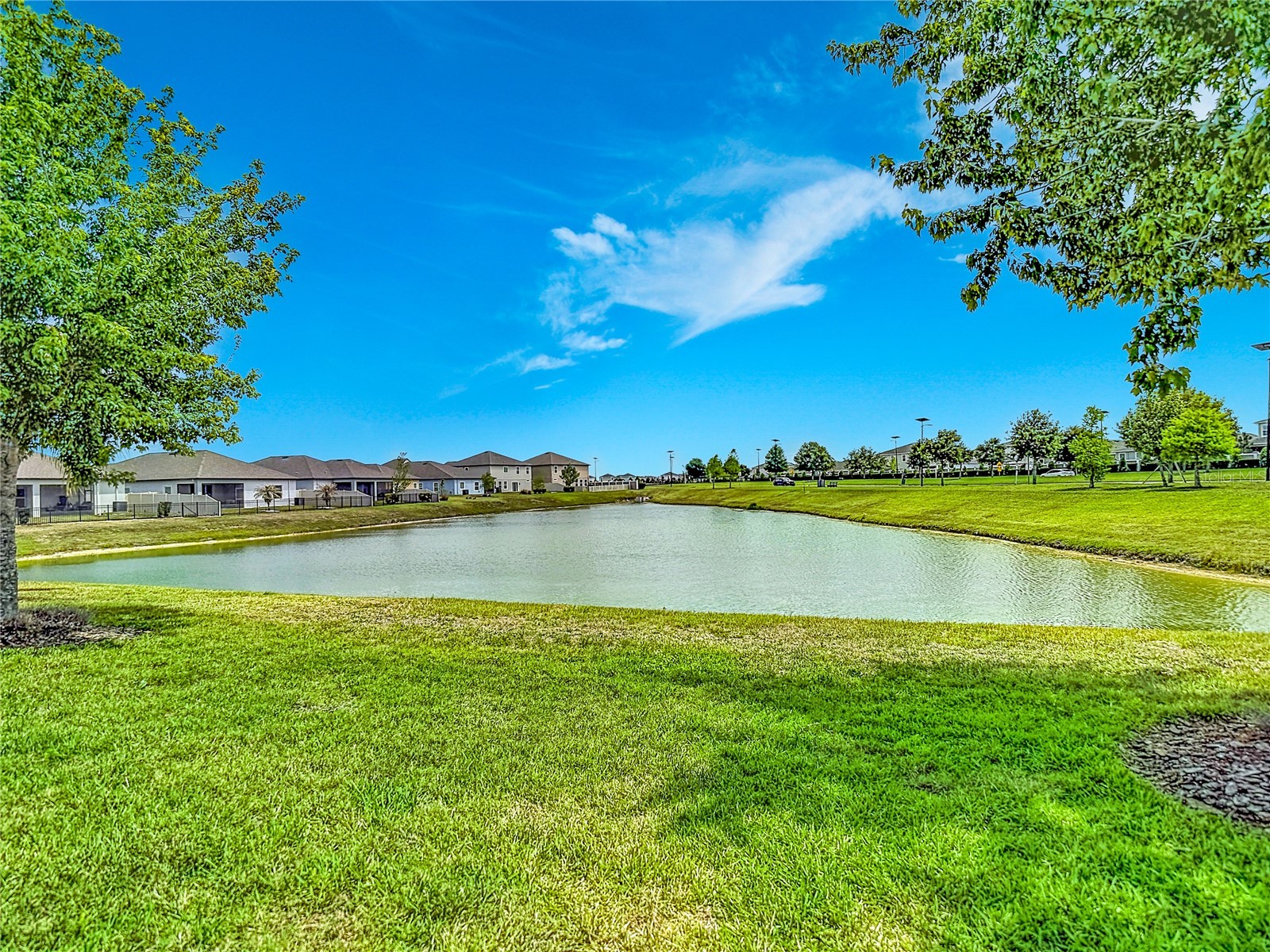 30980 Jazz Leaf Place San Antonio FL 33576 TB8499780 image42