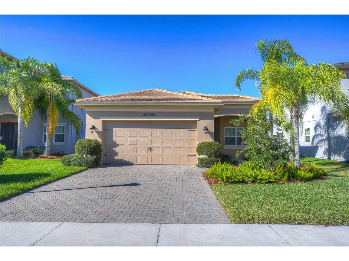 30987 Lindentree Drive Wesley Chapel FL 33543 T3421976 image1