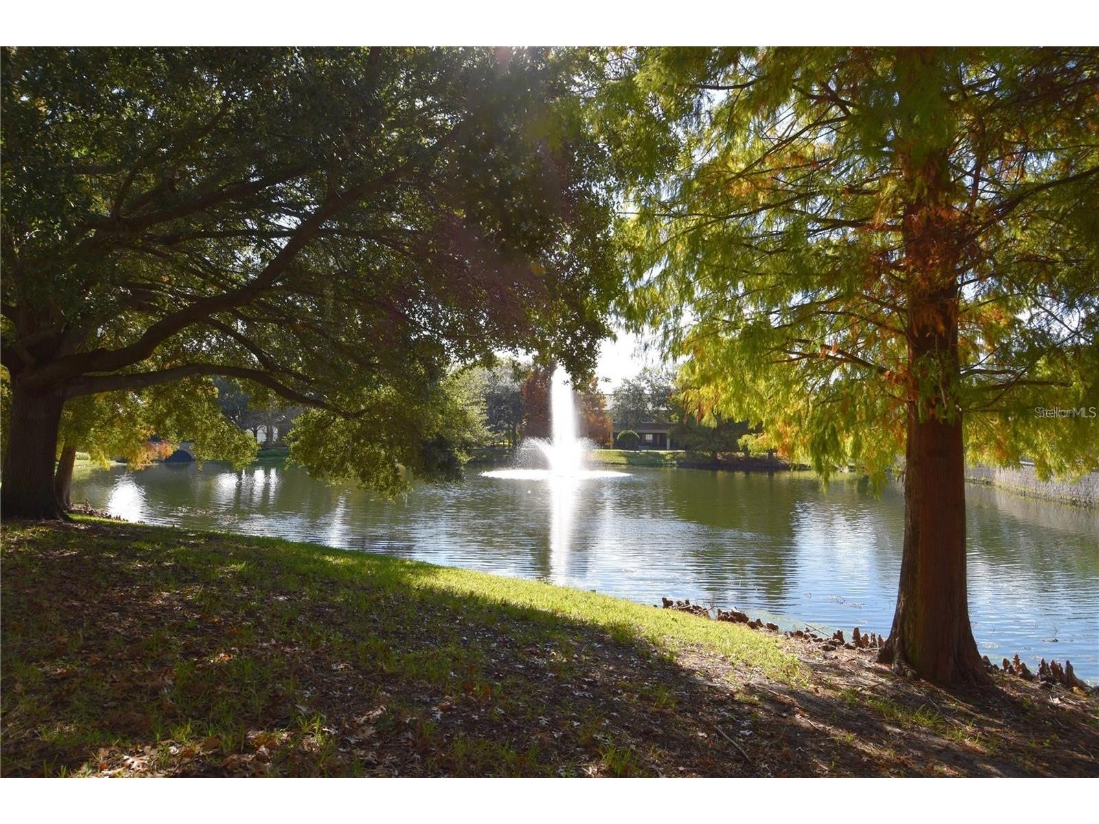 3099 Metro Sevilla Drive #104 Orlando FL 32835 O6414928 image34