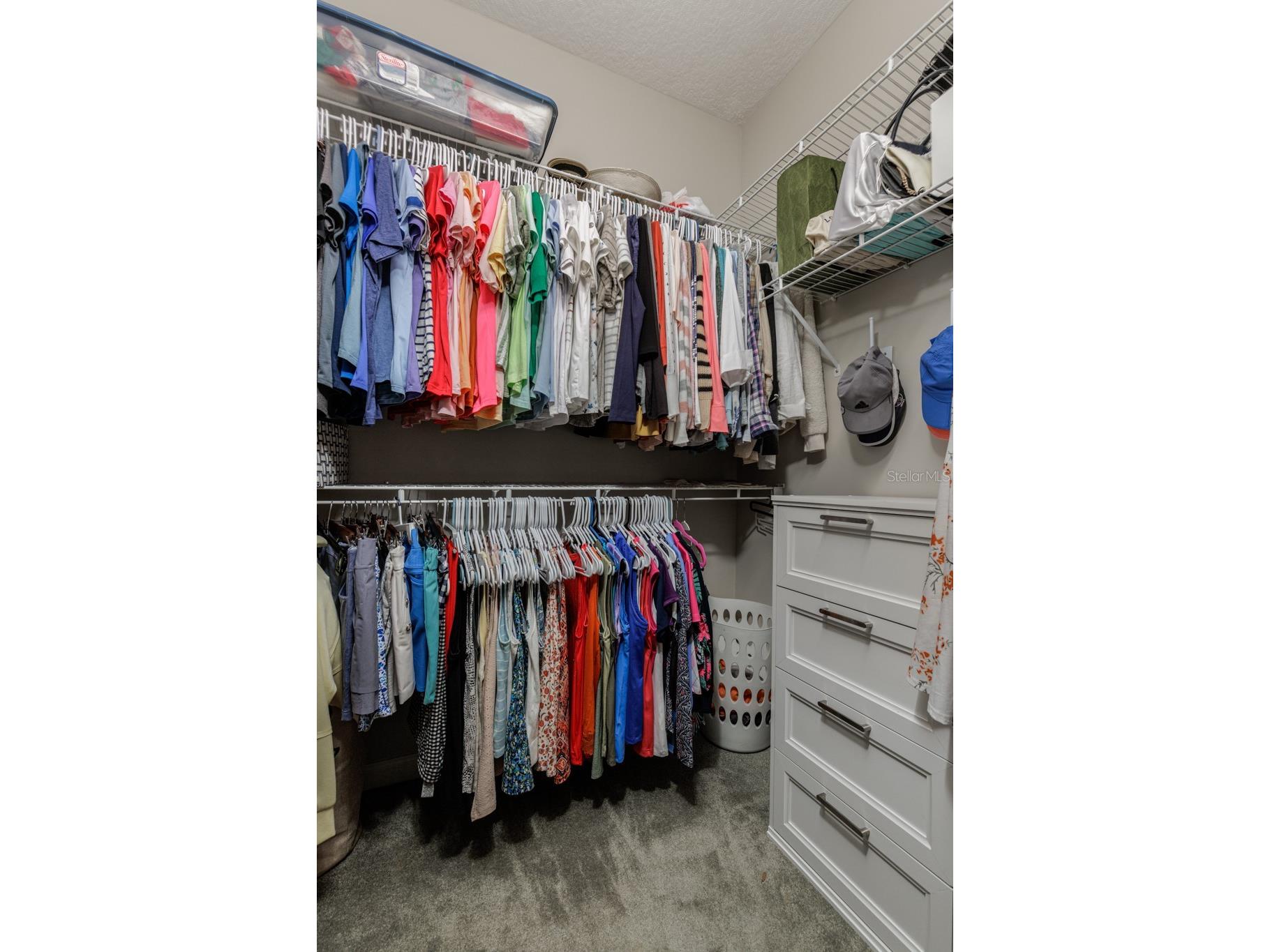 3099 N Barton Creek Circle Lecanto FL 34461 OM723557 image17