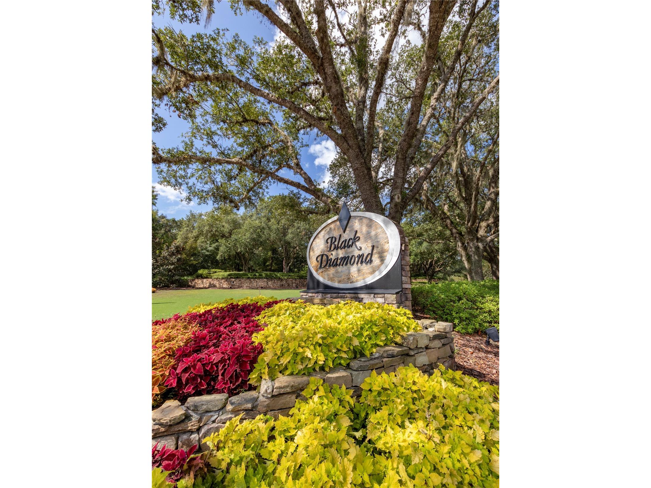 3099 N Barton Creek Circle Lecanto FL 34461 OM723557 image45