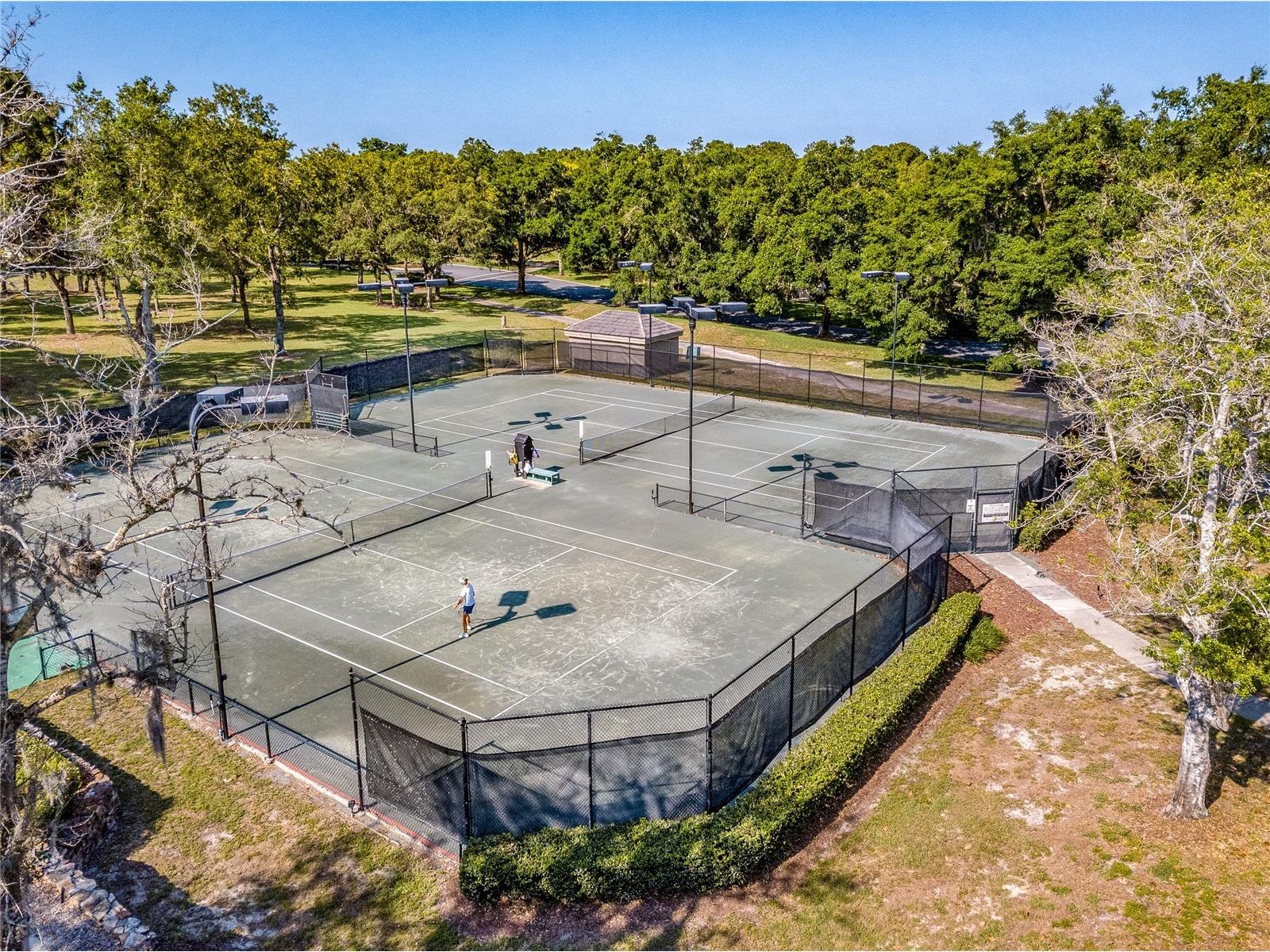 3099 N Barton Creek Circle Lecanto FL 34461 OM723557 image55