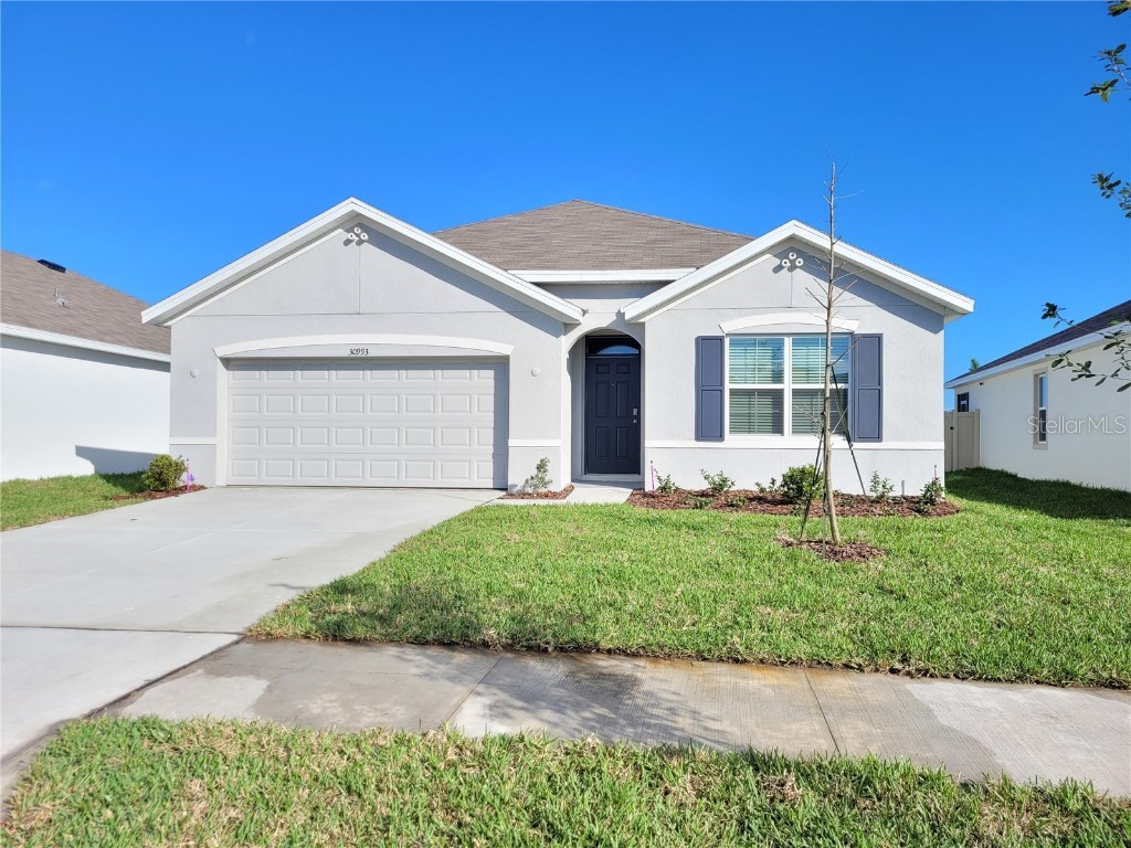 30993 Penny Surf Loop Wesley Chapel FL 33545 T3502158 image1