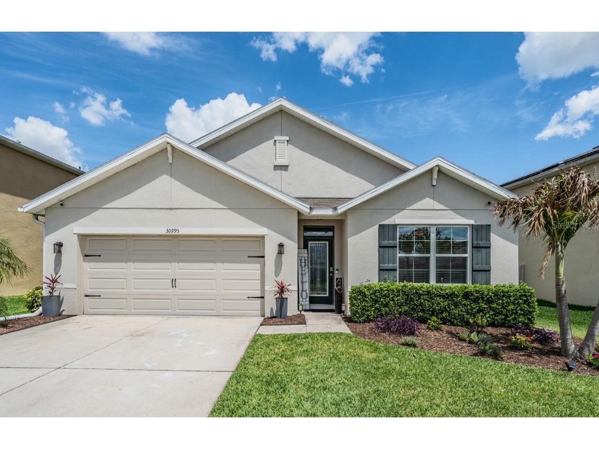 30995 Summer Sun Loop Wesley Chapel FL 33545 T3438610 image1