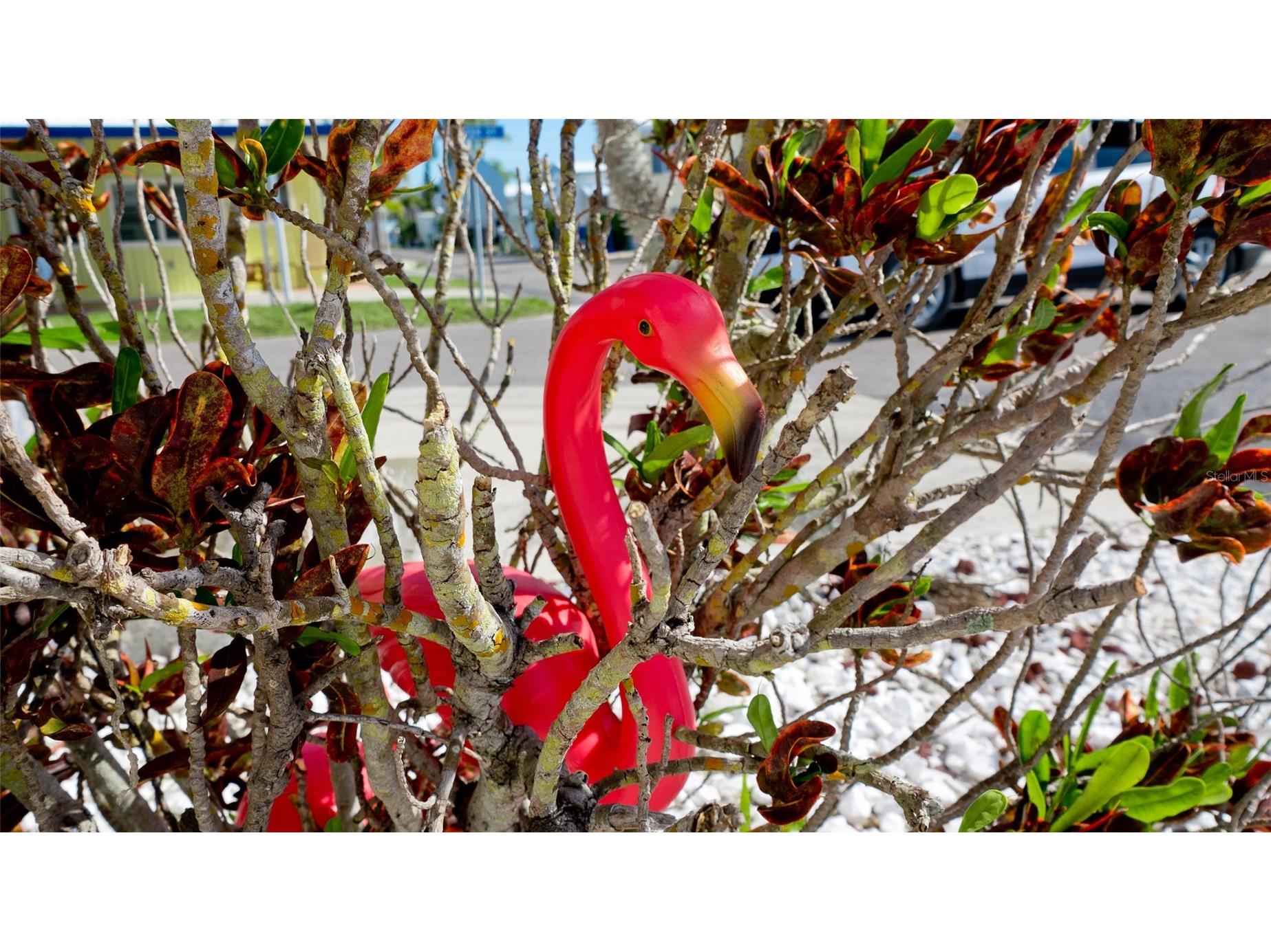 31 1st Street Bradenton FL 34210 A4686150 image23