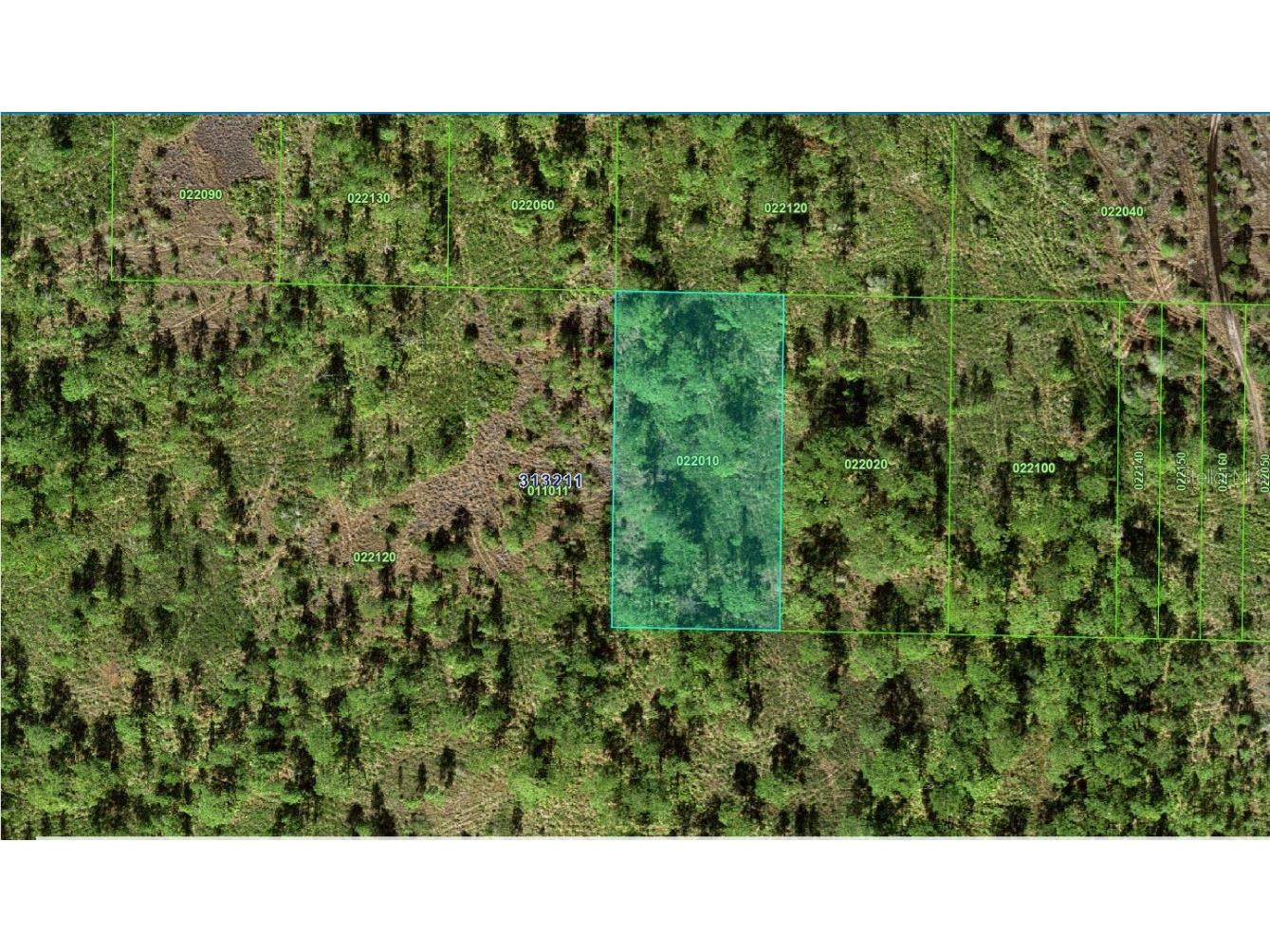 31-32-11-000000-022010 River Ranch Boulevard Lake Wales FL 33898 A4660295 image1