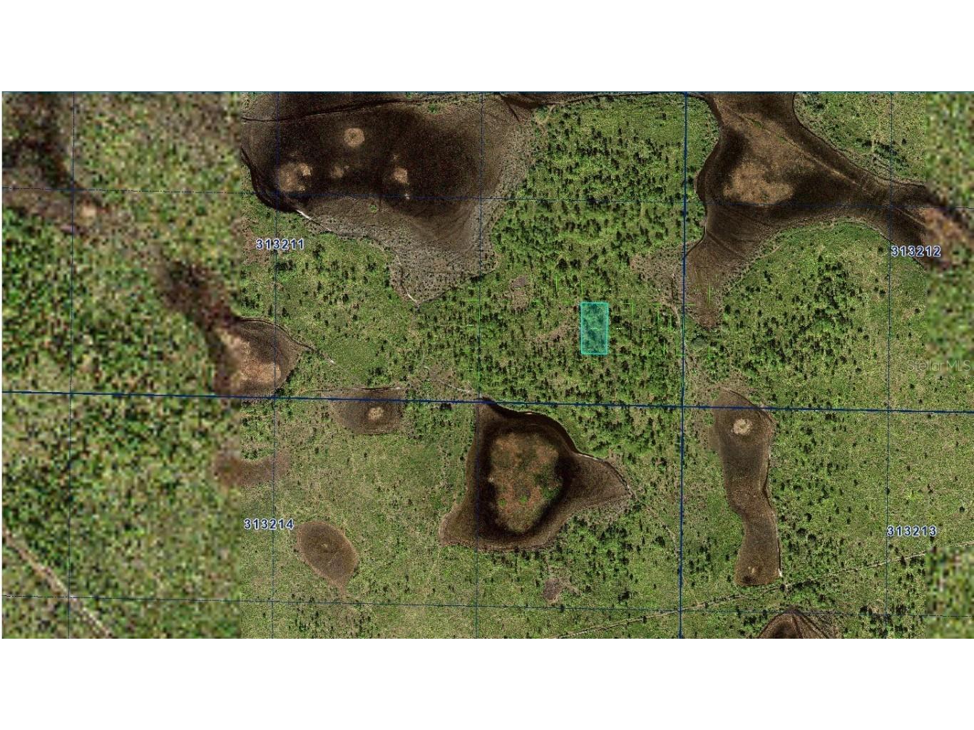 31-32-11-000000-022010 River Ranch Boulevard Lake Wales FL 33898 A4660295 image2