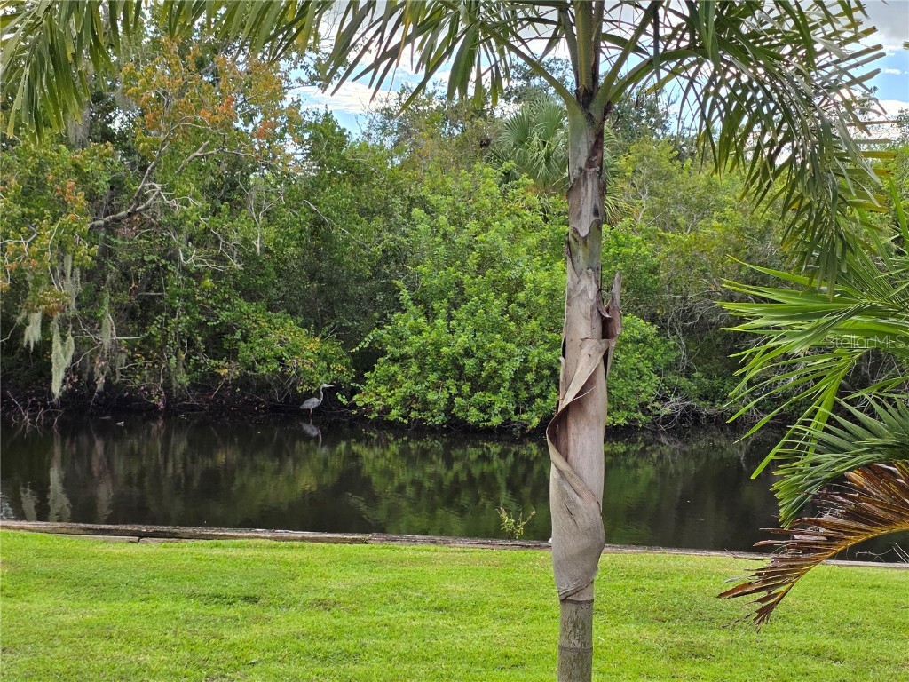 31 Appaloosa Trail W Lake Wales FL 33898 P4936213 image10