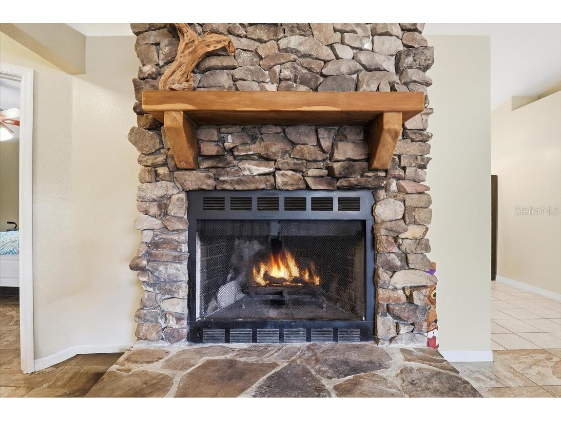 31 Banyan Pass Loop Ocala FL 34472 TB8451589 image14