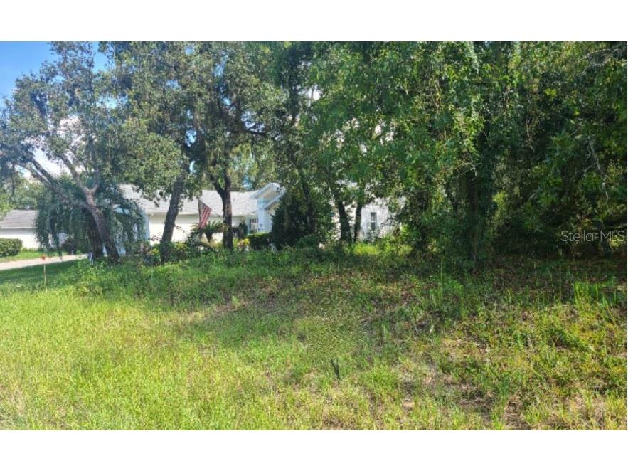 31 Black Willow Street Homosassa FL 34446 W7852343 image1