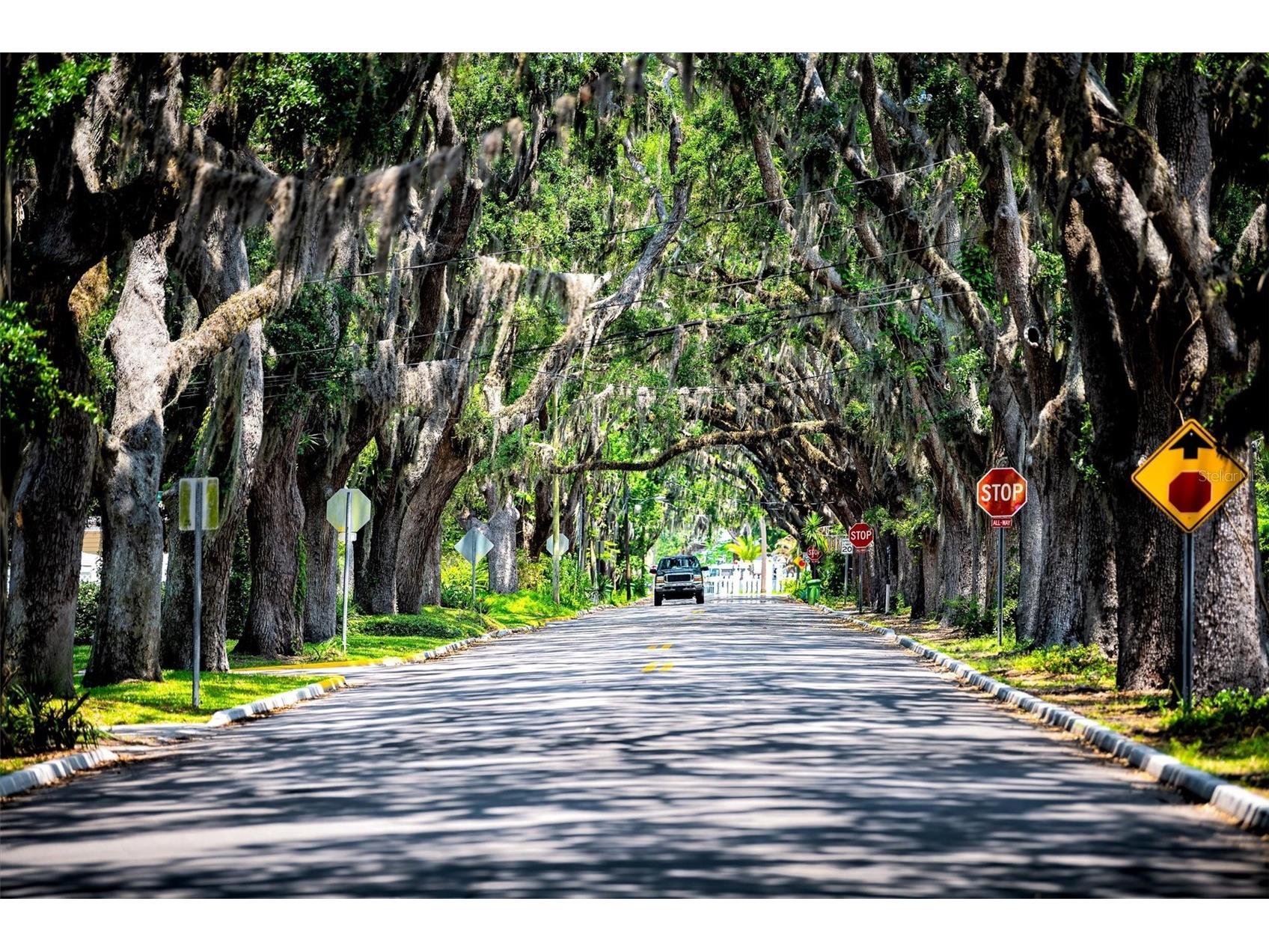 31 Cincinnati Avenue Saint Augustine FL 32084 FC313926 image87