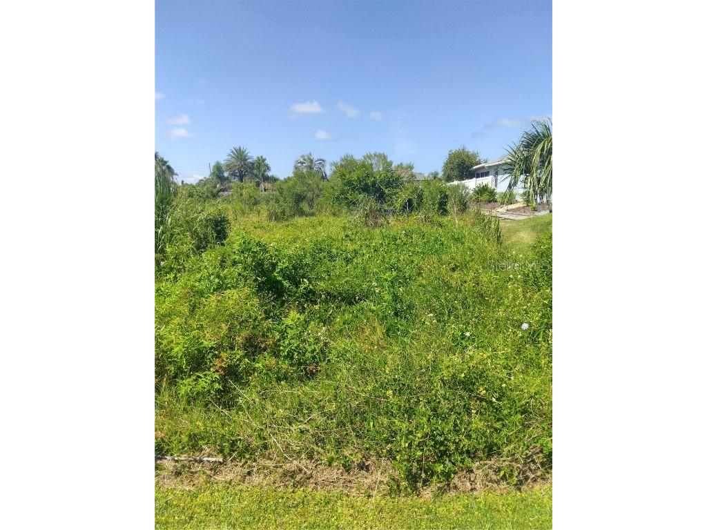 31 Cottonwood Trail Palm Coast FL 32137 FC294266 image1