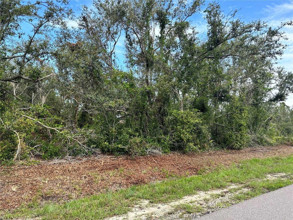 31 Dahoon Boulevard Punta Gorda FL 33982 C7477276 image1