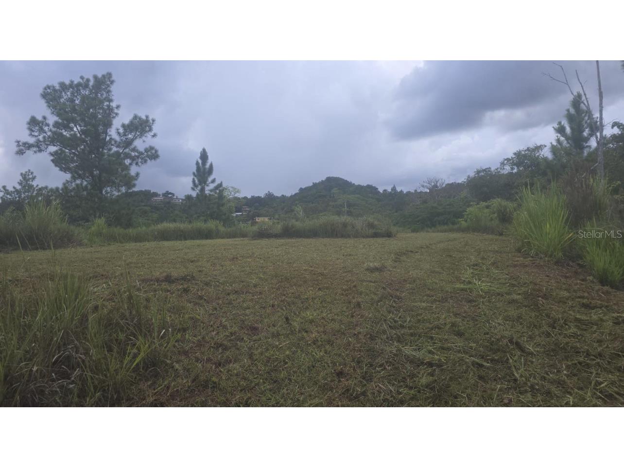 31 Fort Myers Drive Indian Lake Estates FL 33855 S5144672 image1