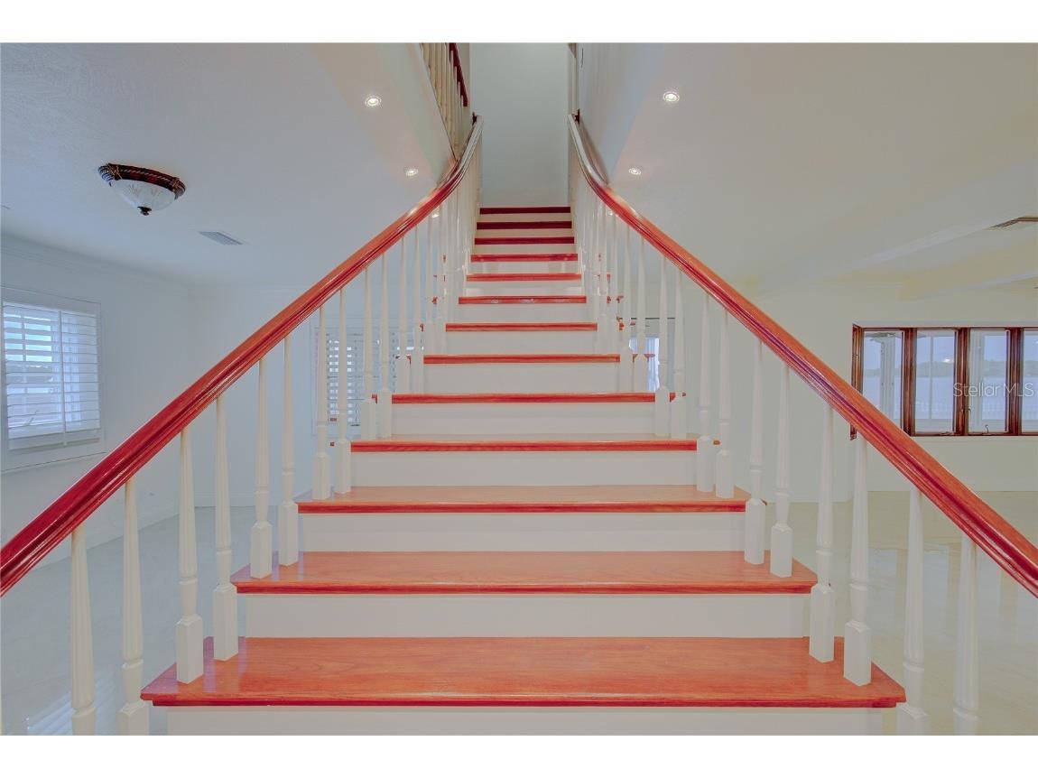 31 Freshwater Drive Palm Harbor FL 34684 TB8450717 image18