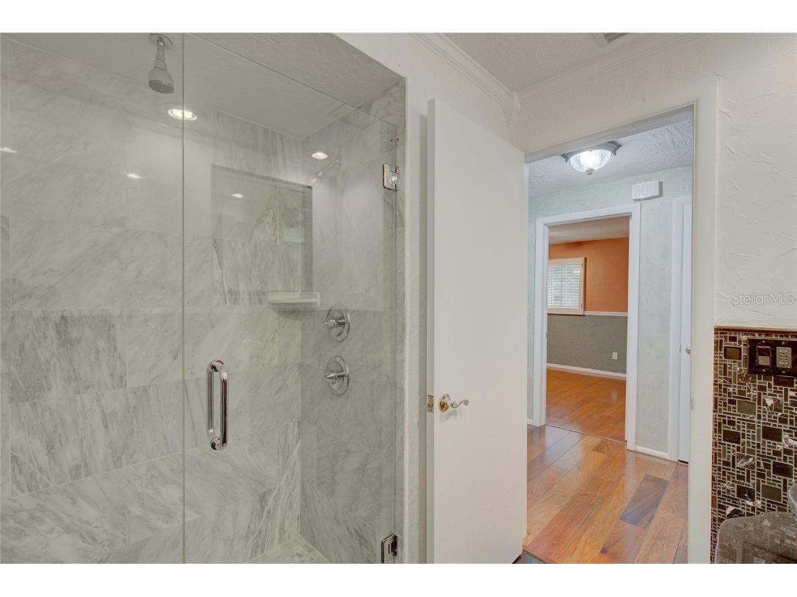 31 Freshwater Drive Palm Harbor FL 34684 TB8450717 image36