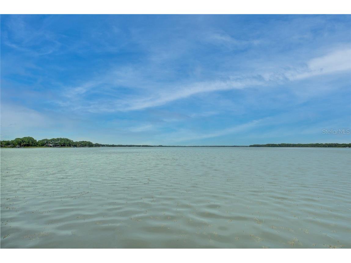 31 Freshwater Drive Palm Harbor FL 34684 TB8450717 image40