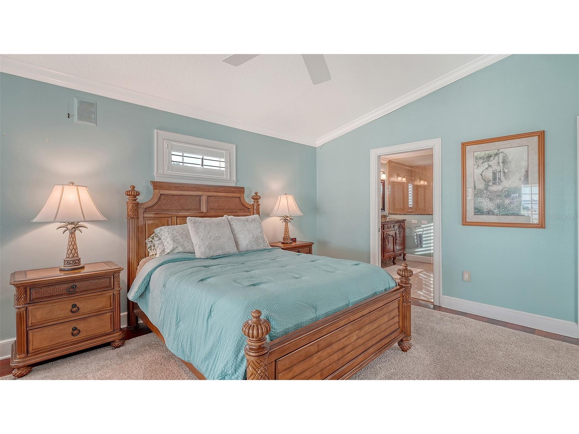 31 Island Court Terra Ceia FL 34250 - TERRA CEIA BAY A4668945 image31