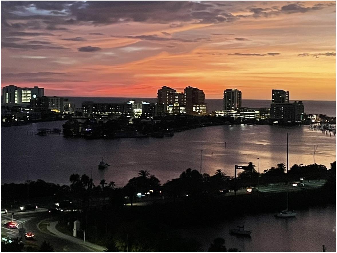 31 Island Way #1403 Clearwater Beach FL 33767 TB8384452 image4