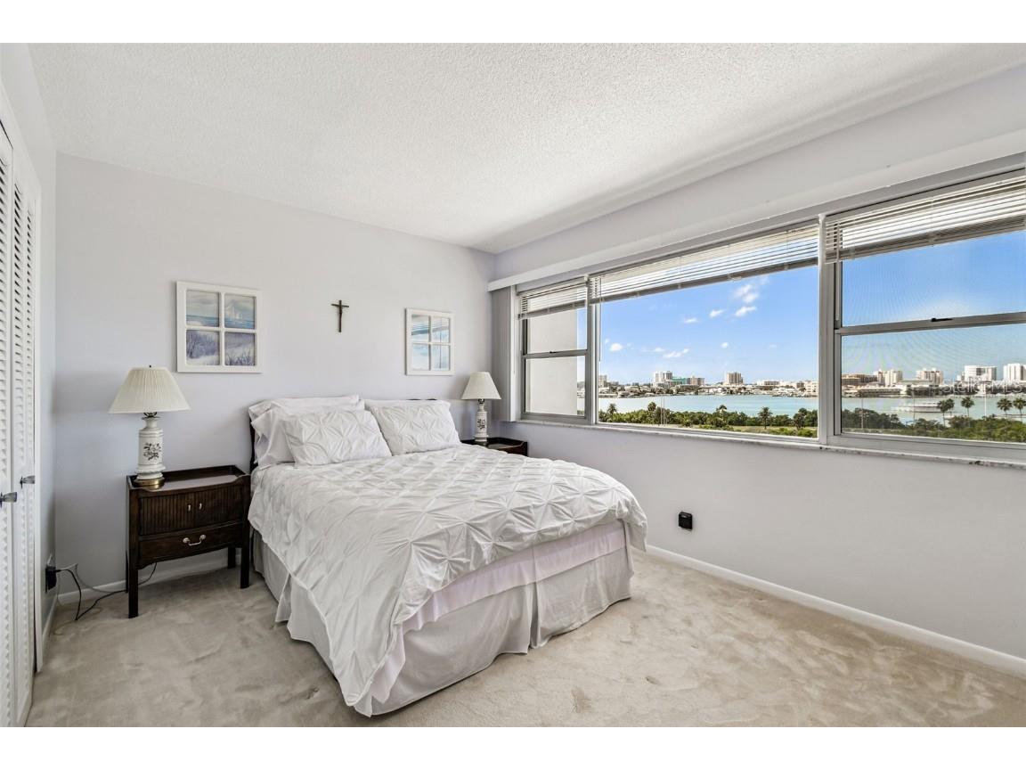 31 Island Way #609 Clearwater Beach FL 33767 TB8436789 image14